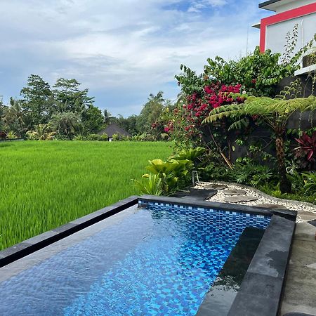 Maple Ridge Ubud Villas Екстер'єр фото