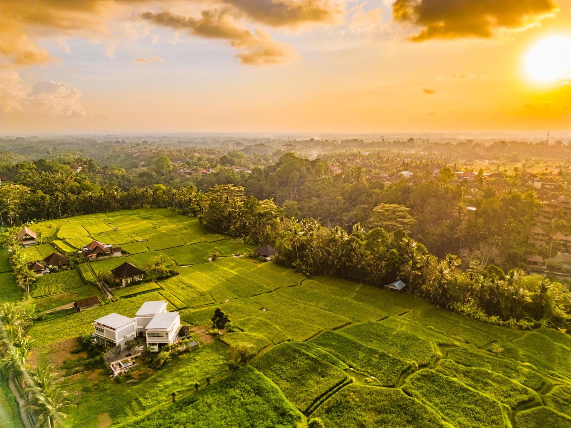 Maple Ridge Ubud Villas Екстер'єр фото