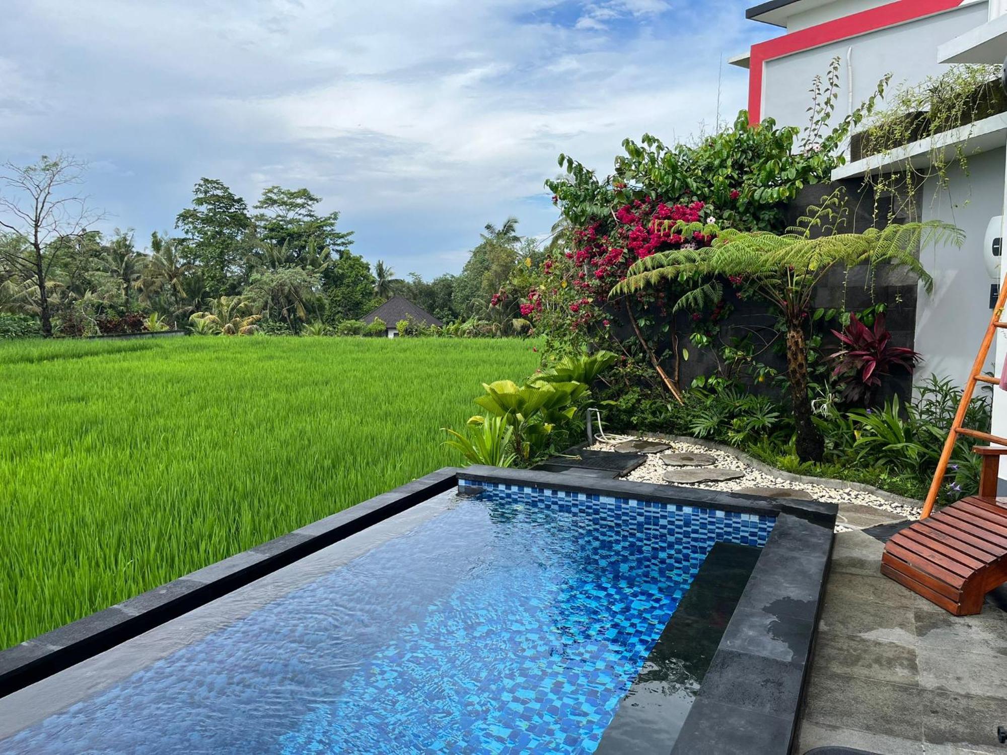 Maple Ridge Ubud Villas Екстер'єр фото