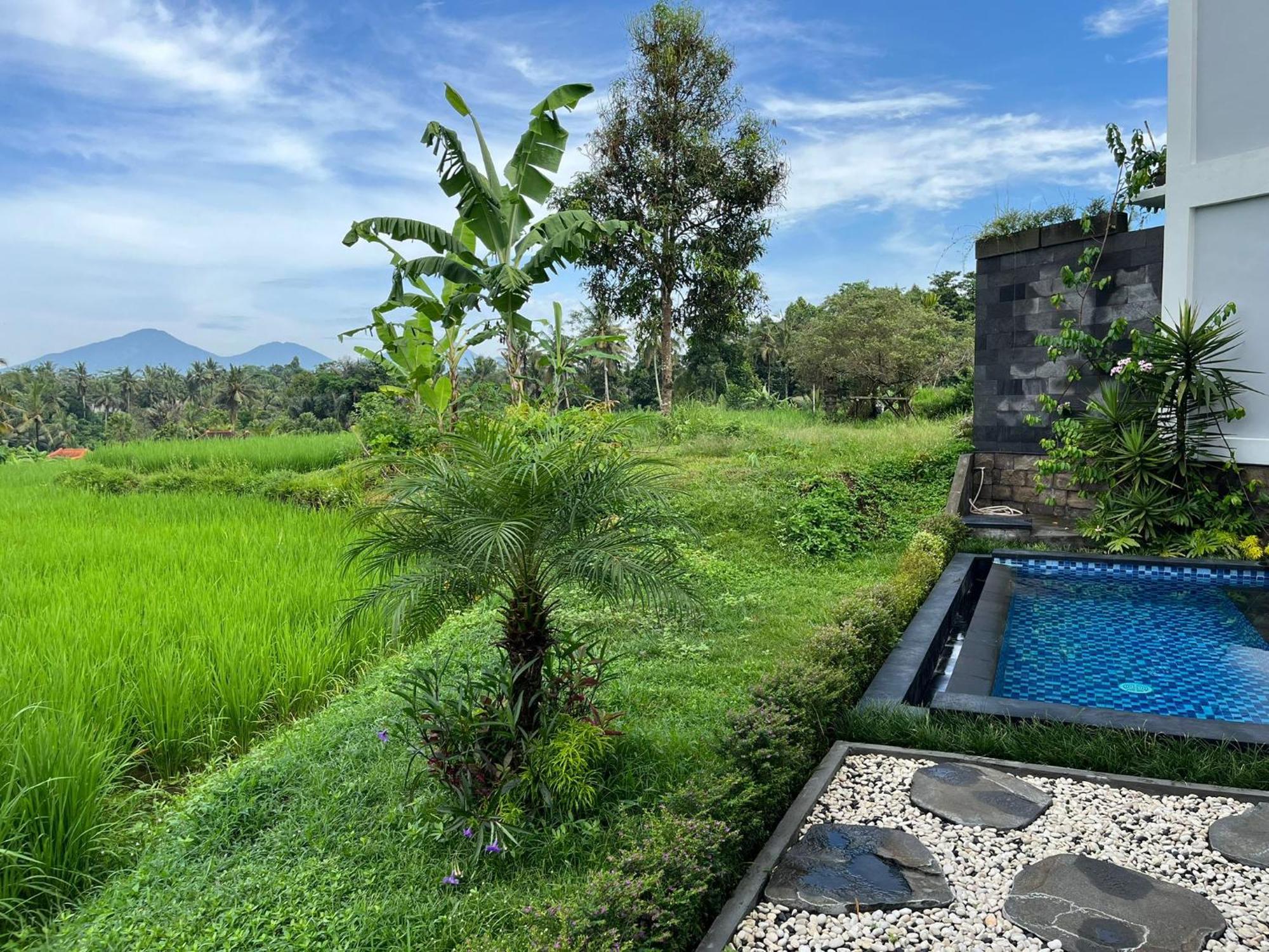 Maple Ridge Ubud Villas Екстер'єр фото