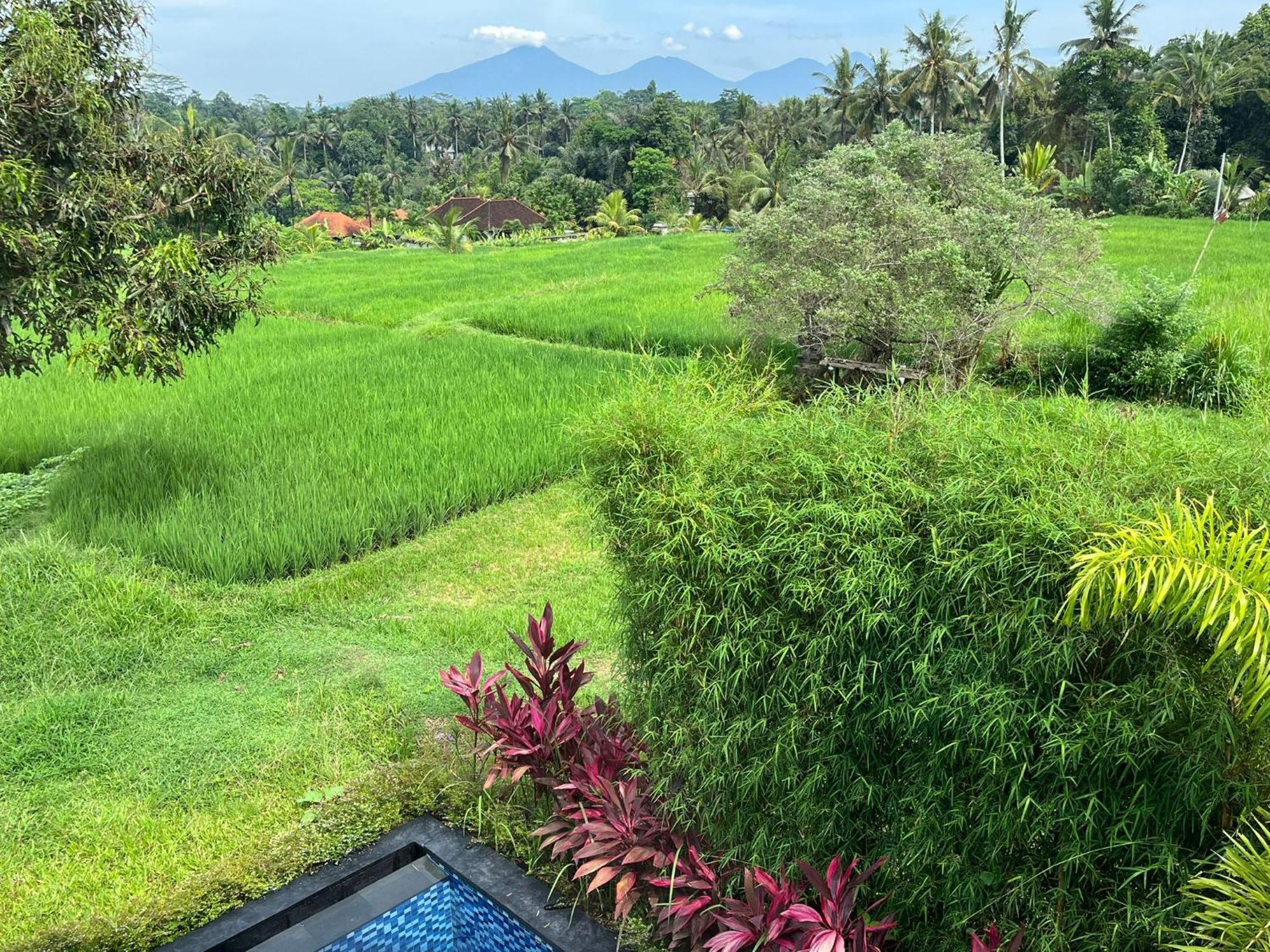 Maple Ridge Ubud Villas Екстер'єр фото