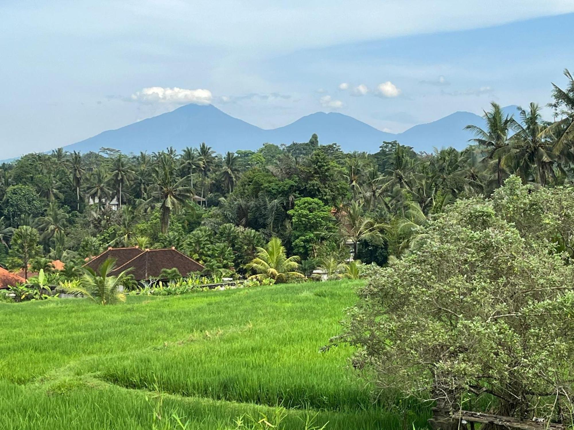 Maple Ridge Ubud Villas Екстер'єр фото